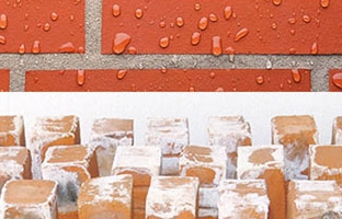 Construction Coatings & Additives